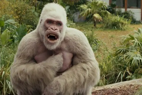 Imagem 2 do filme
