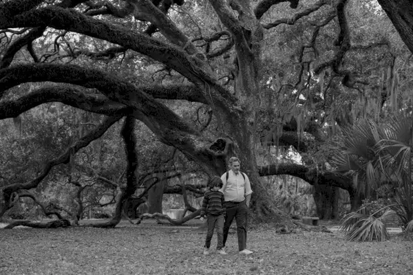 Imagem 9 do filme
