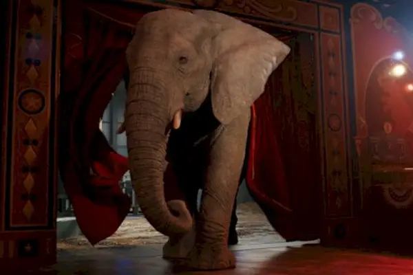 Imagem 7 do filme