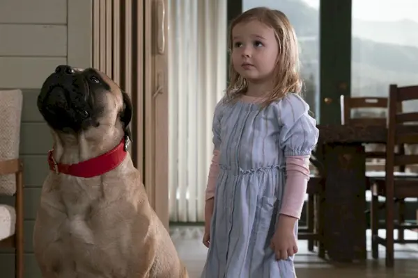 Imagem 10 do filme