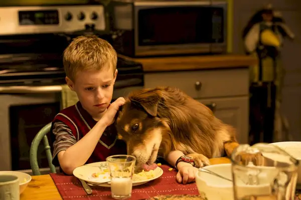 Imagem 5 do filme