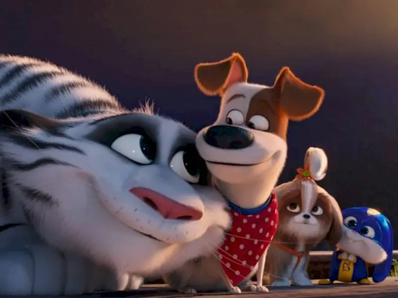 Pets 3 é oficial: Illumination confirma retorno da franquia com diretor original