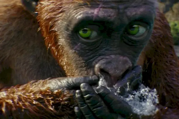 Imagem 30 do filme