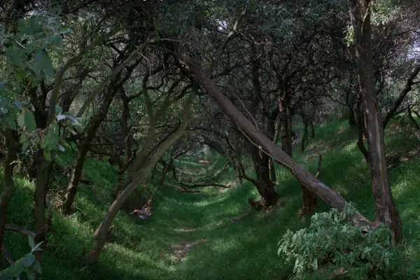 Imagem 35 do filme