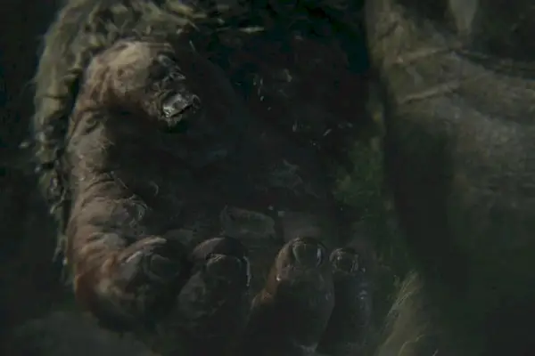 Imagem 7 do filme