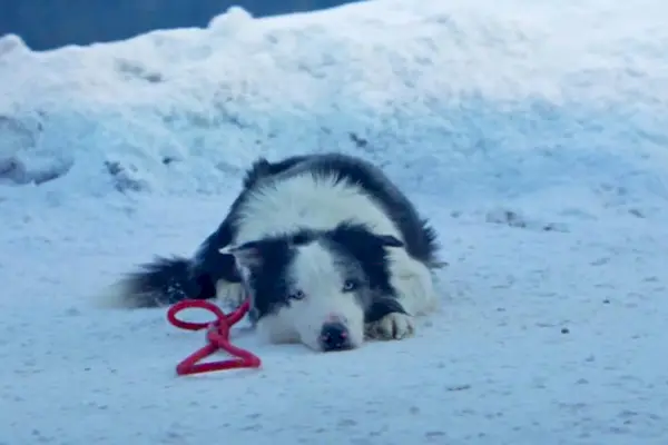 Imagem 8 do filme
