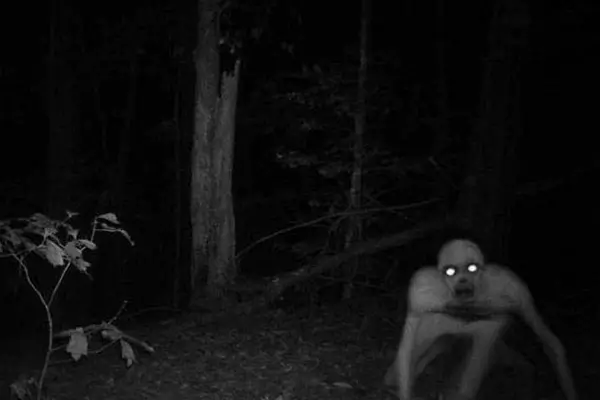 Imagem 3 do filme