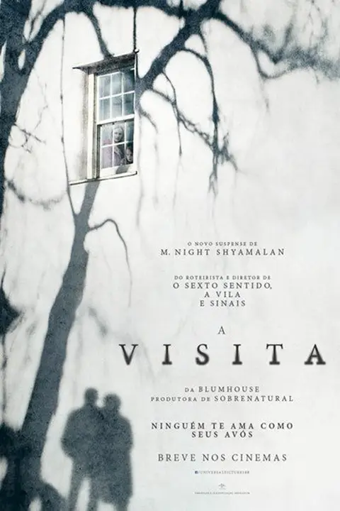 Cartaz de A Visita