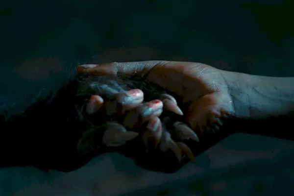 Imagem 9 do filme