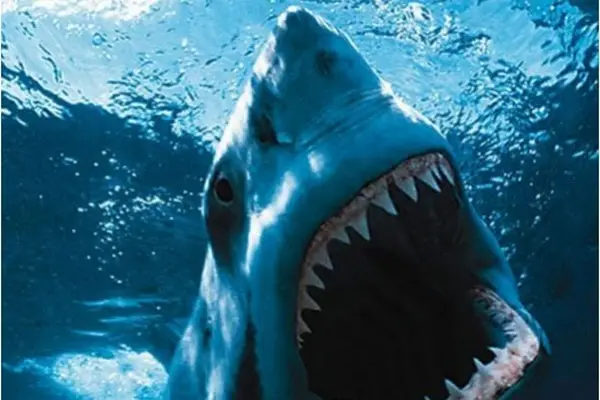 Imagem 1 do filme