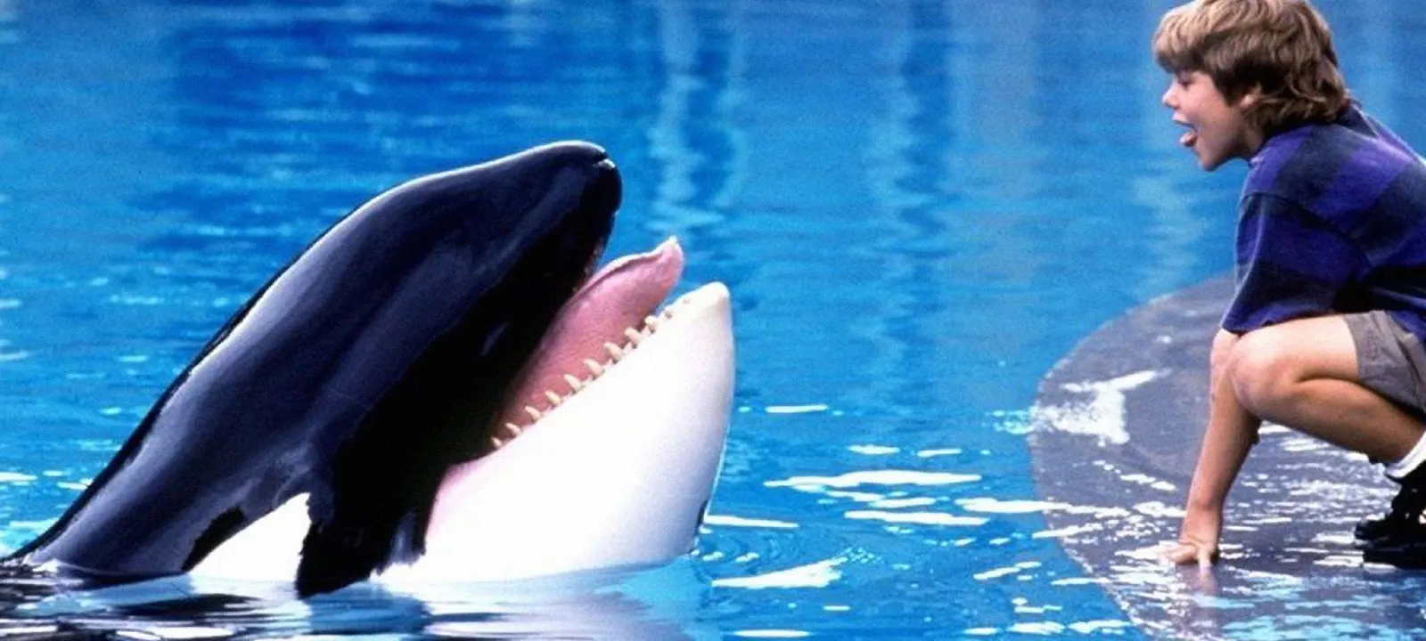 Free Willy: Warner Bros. prepara remake do clássico com produção dos irmãos Russo