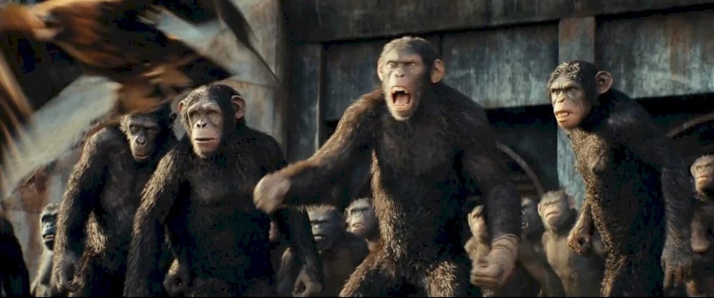 Foto do filme Planeta dos Macacos: O Reinado – Divulgação/20th Century Studios