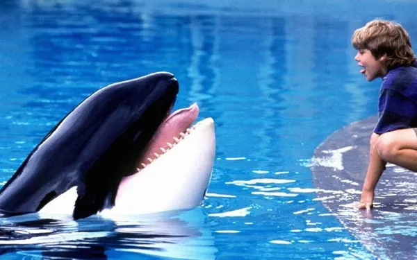Free Willy: Warner Bros. prepara remake do clássico com produção dos irmãos Russo