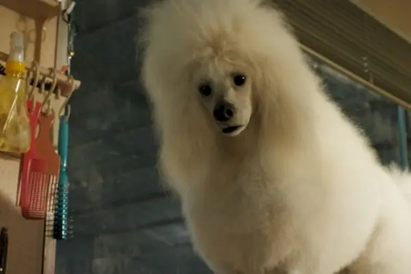 Imagem 9 do filme