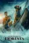 Capa do filme O Chamado da Floresta