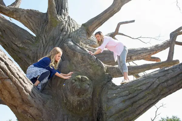 Imagem 5 do filme