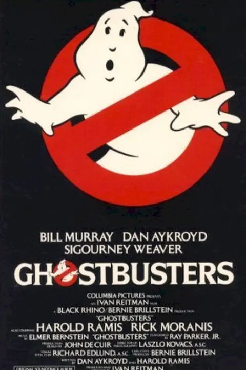 Cartaz de Os Caça-Fantasmas
