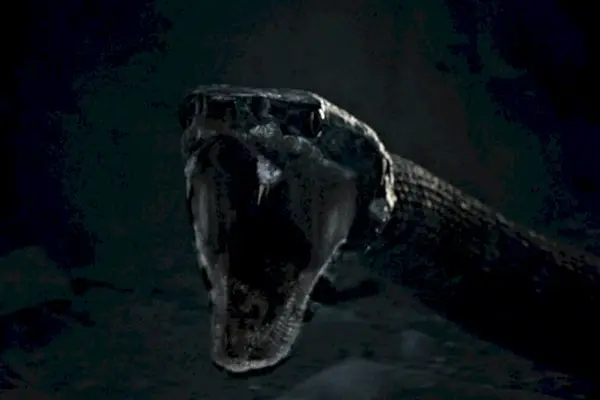 Imagem 25 do filme