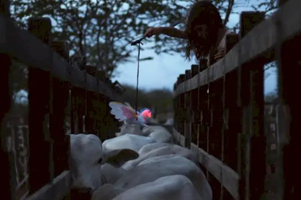 Imagem 2 do filme