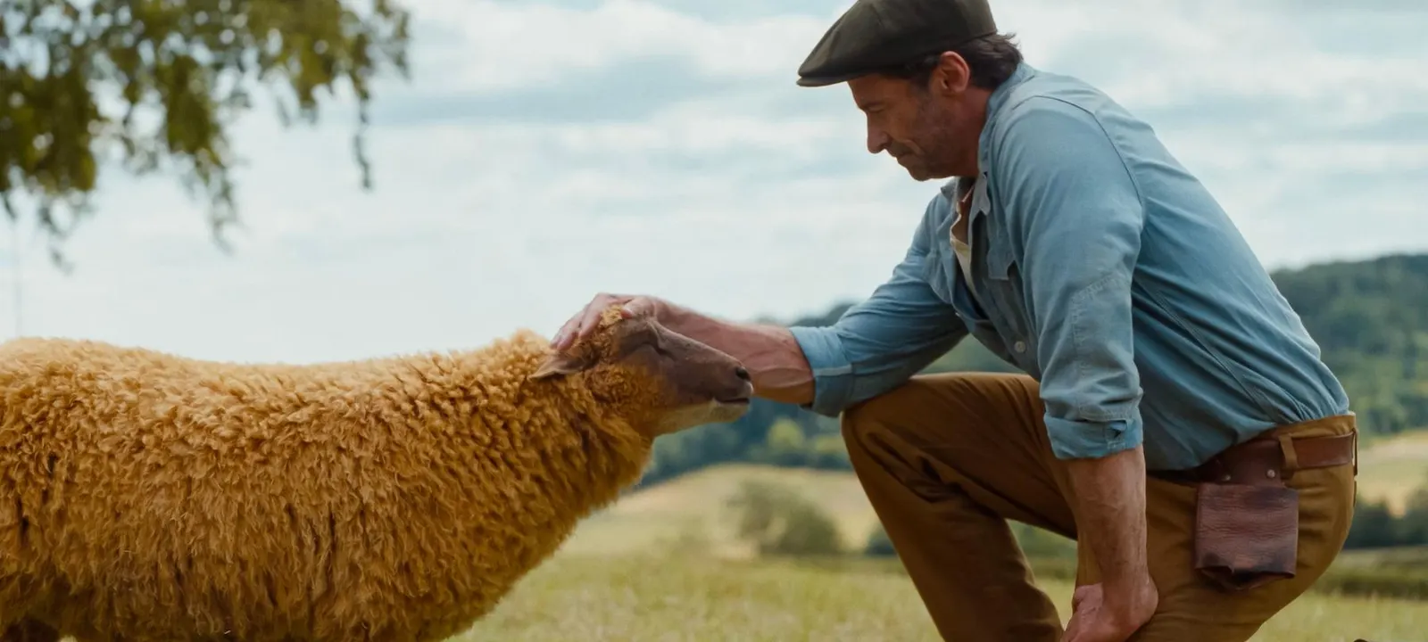 As Ovelhas Detetives chega ao Prime Video: prepare-se para o mistério mais fofo do ano