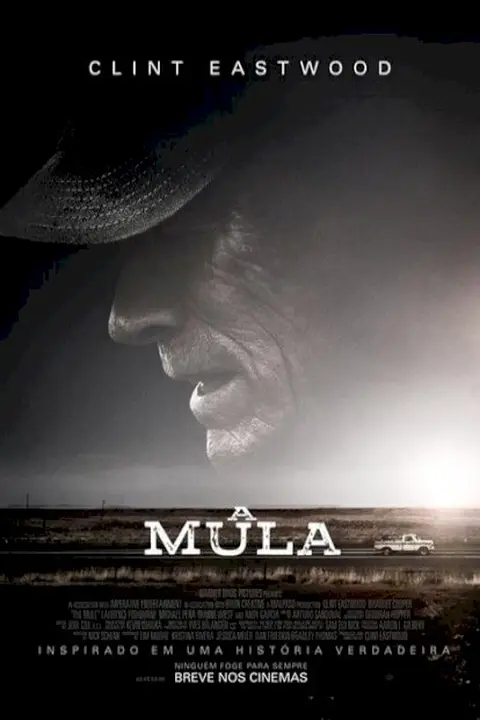 Cartaz de A Mula