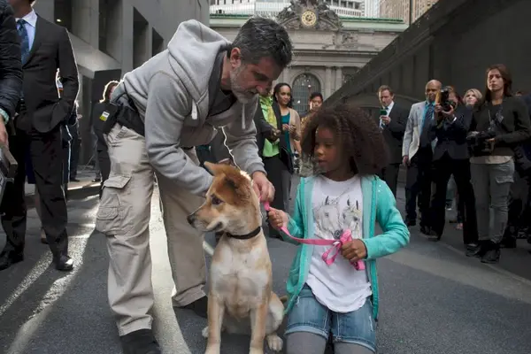 Imagem 8 do filme