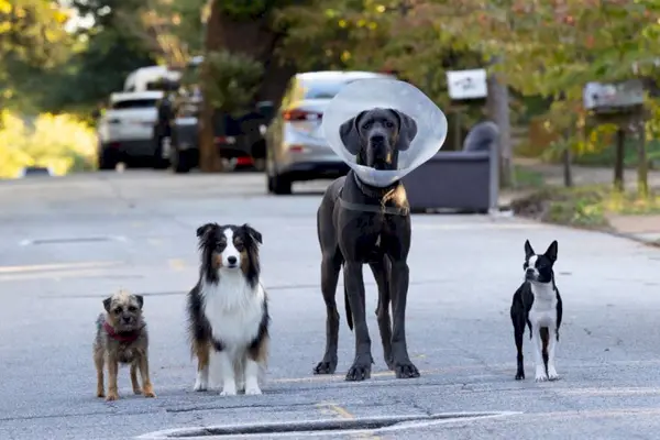 Imagem 15 do filme