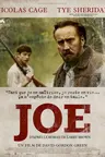 Capa do filme Joe