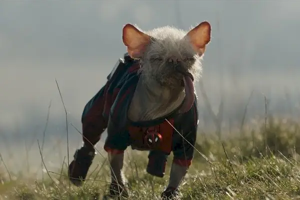 Imagem 5 do filme
