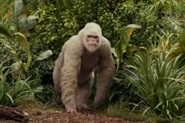 Imagem 3 do filme