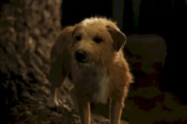 Imagem 10 do filme