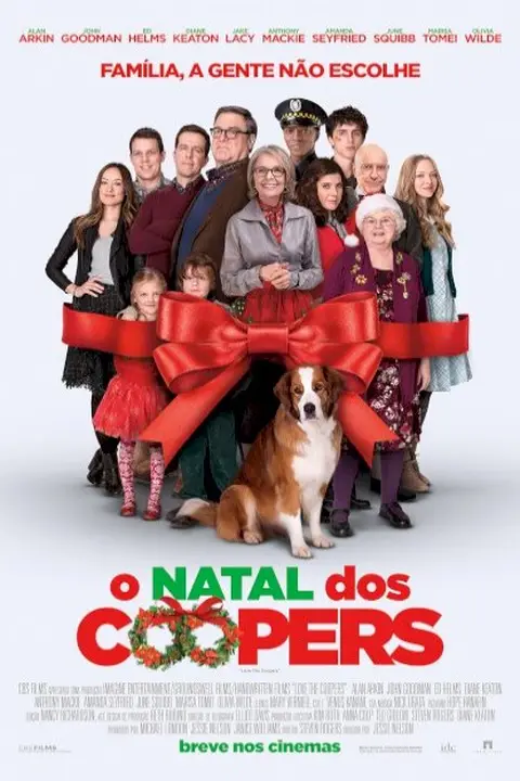 Cartaz de O Natal dos Coopers