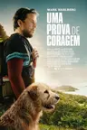 Capa do filme Uma Prova de Coragem