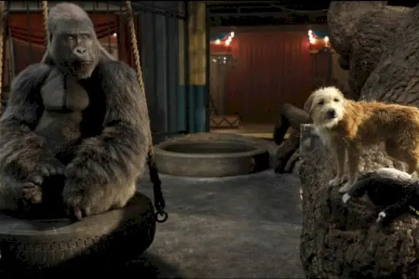 Imagem 8 do filme