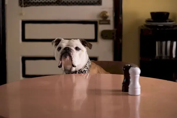 Imagem 11 do filme