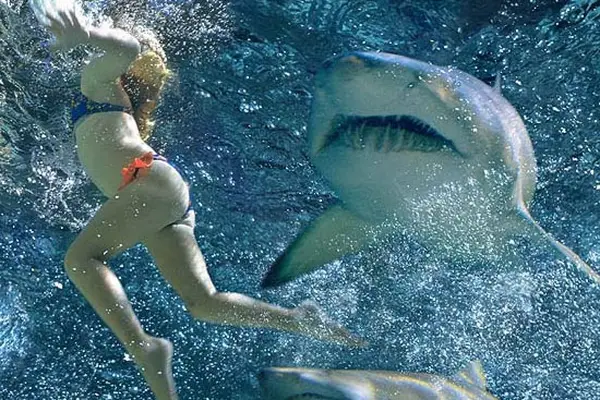 Imagem 3 do filme