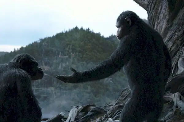 Imagem 7 do filme