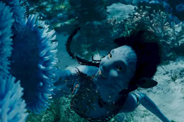 Imagem 24 do filme