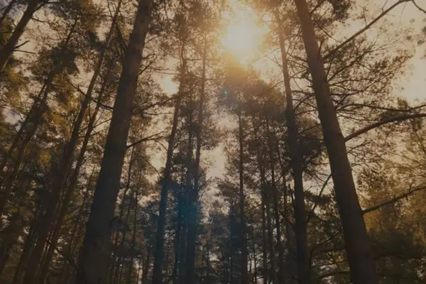 Imagem 7 do filme