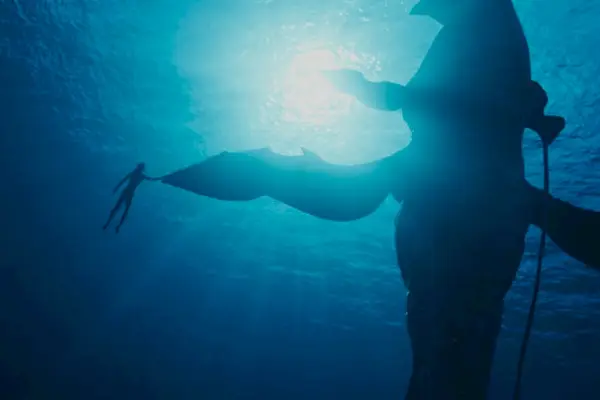 Imagem 26 do filme