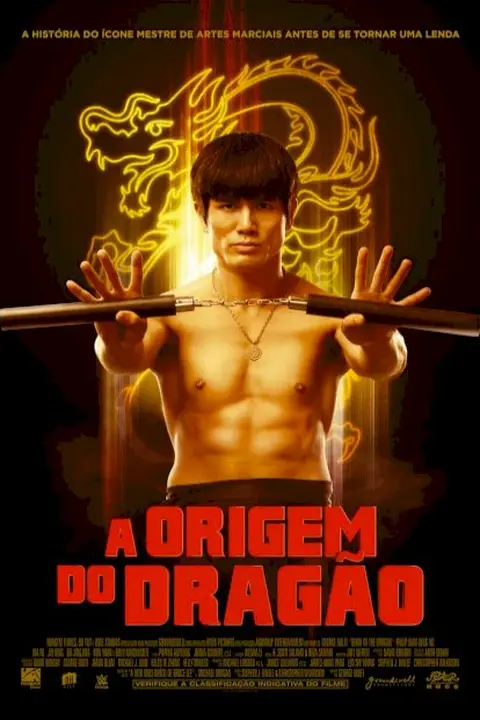 Cartaz de A Origem do Dragão