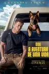 Capa do filme Inatividade Paranormal