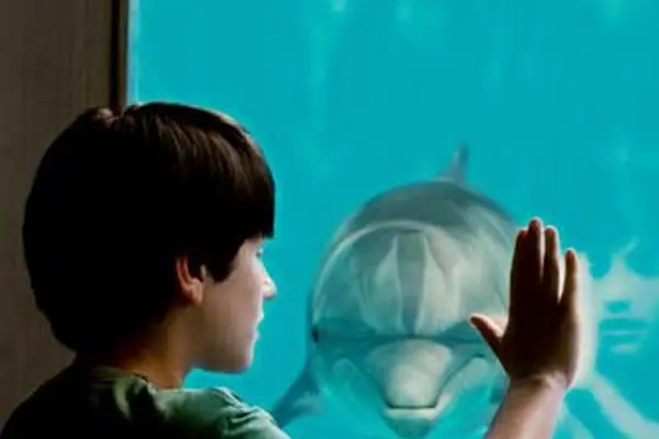 Imagem 2 do filme