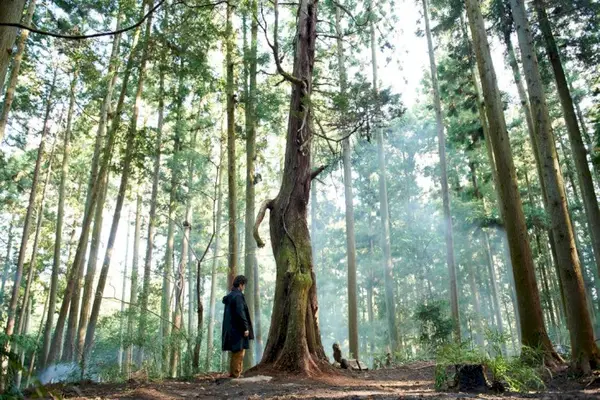 Imagem 6 do filme