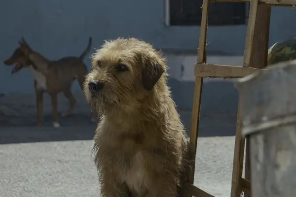 Imagem 1 do filme