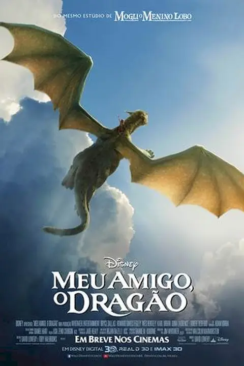 Cartaz de Meu Amigo, o Dragão