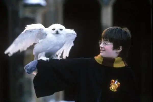 Imagem 6 do filme