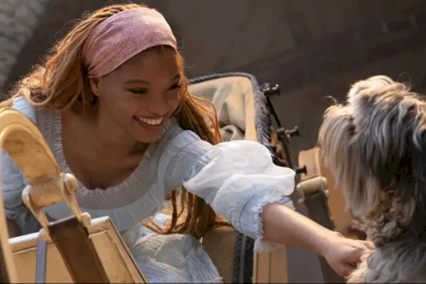 Imagem 12 do filme