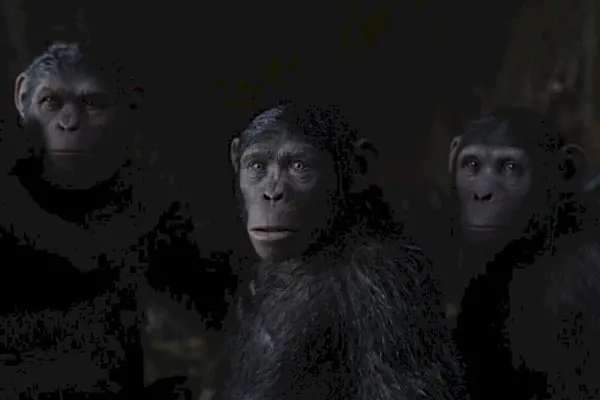 Imagem 18 do filme
