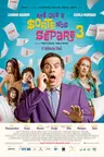 Capa do filme Até que a Sorte nos Separe 3